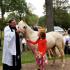 Blessing of the Animals